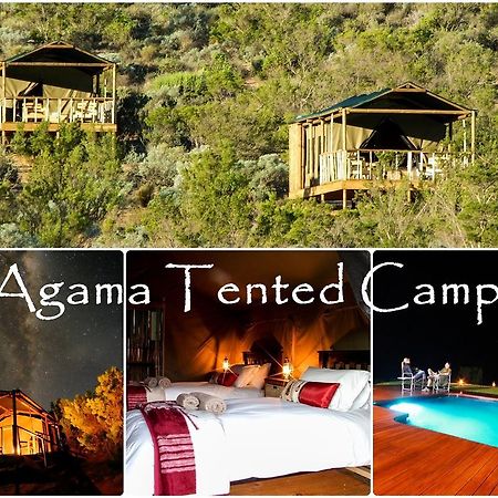 Agama Tented Camp Garies Eksteriør bilde