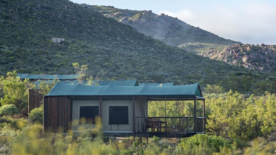 Agama Tented Camp Garies Eksteriør bilde