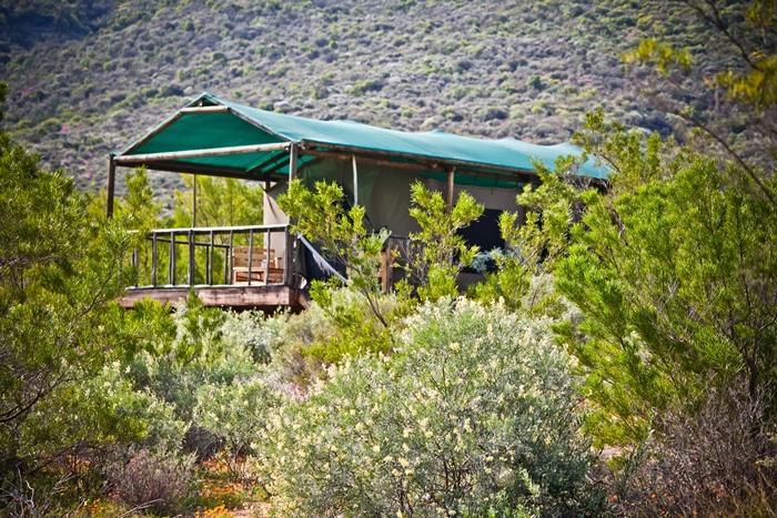 Agama Tented Camp Garies Eksteriør bilde