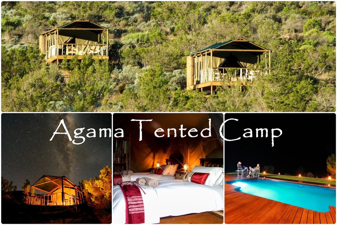 Agama Tented Camp Garies Eksteriør bilde